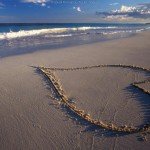Iubirea : arat sau spun?