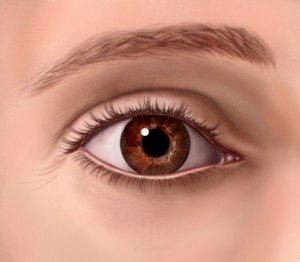 ar00019_97870_1_eye_open