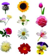 motive-de-bucurie-pentru-zodia-ta2