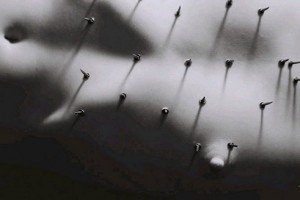 2002bernard-102-bernardphoto_pleasure_pain