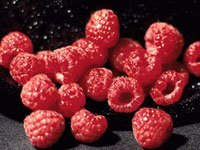 Fructele de padure
