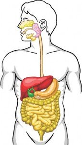 Cancerului pancreatic