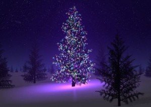 O, brad frumos - colind de Craciun