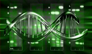 Oamenii vor trai 1000 de ani