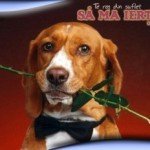 Mesaje de iertare – Sms-uri de impacare