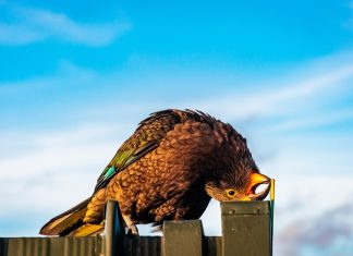 206 Citate Amuzante – Citate Celebre