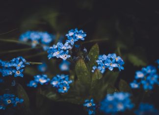 1074 Citate Despre Viata – Motto-uri scurte si frumoase