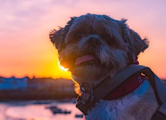 109 Citate Motivationale Amuzante Care iti Vor Transforma Viata