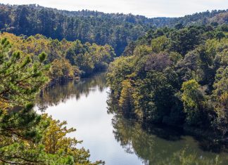 115 Citate Despre Iubire Imposibila Citate frumoase