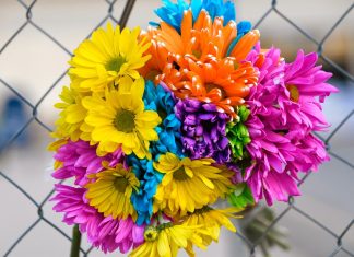 126 Mesaje De Multumire