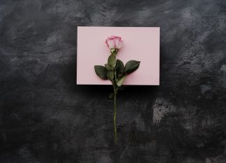 265 Citate Despre Viata Si Iubire Care iti vor schimba viata