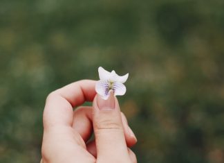 93 Mesaje De 8 Martie