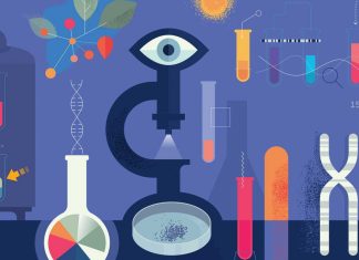 Ce este Biotehnologia si care este obiectul ei de studiu?