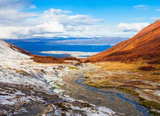 Parcul Etnobotanic din Tara de Foc: O padure mica in varful lumii