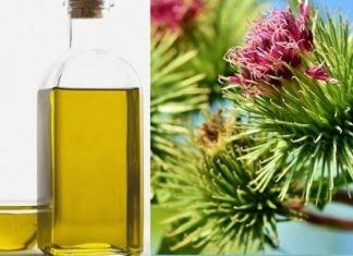 Ulei de brusture: contraindicatii, proprietati si beneficii