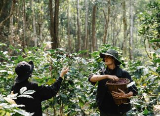 Celebrități cărora le pasă de CSR