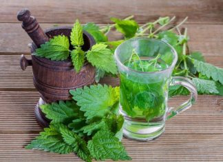 Urzica – beneficii extraordinare pentru sănătate