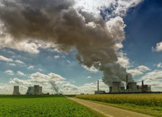 Poluarea aerului: 10 sfaturi de antrenament pentru a-ti mentine sanatatea